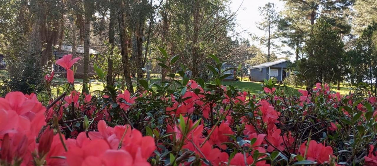 Hotel Las Azaleas Jardín América 외부 사진
