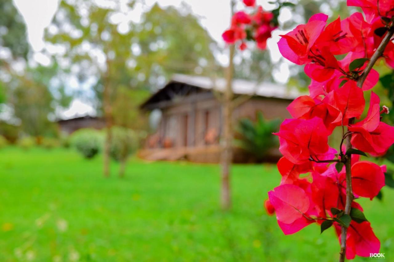 Hotel Las Azaleas Jardín América 외부 사진